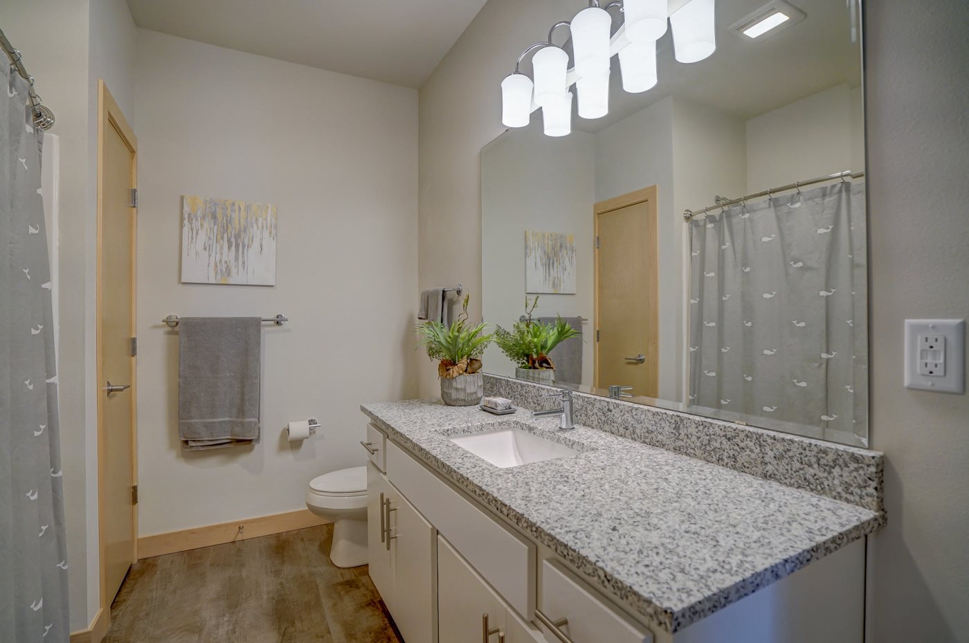 Gallery Photo 17